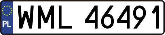 WML46491