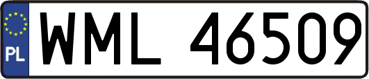 WML46509