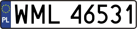 WML46531