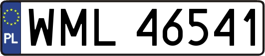 WML46541