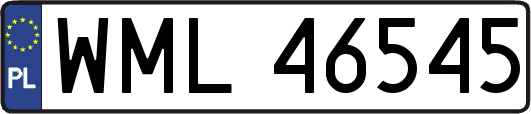 WML46545