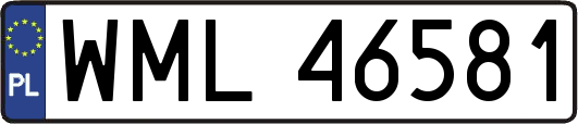 WML46581