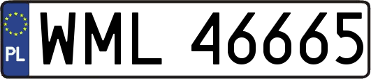 WML46665