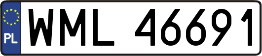 WML46691