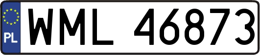 WML46873