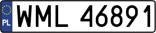 WML46891