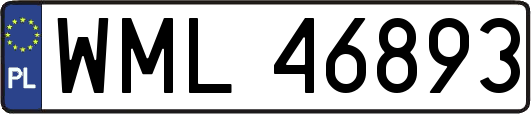 WML46893