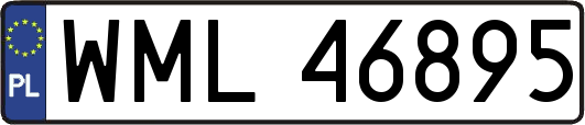 WML46895
