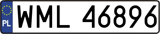 WML46896
