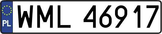 WML46917