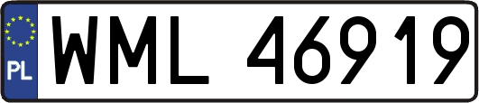 WML46919