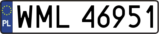 WML46951