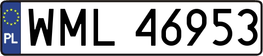 WML46953