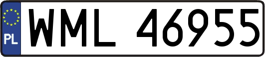 WML46955