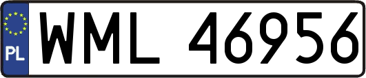 WML46956