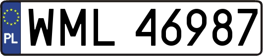 WML46987