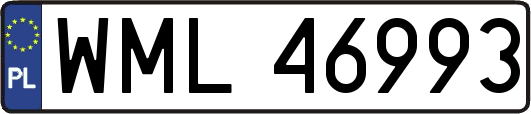 WML46993