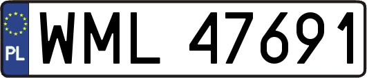 WML47691