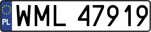 WML47919