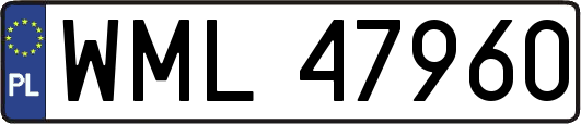 WML47960