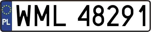 WML48291
