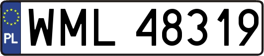 WML48319