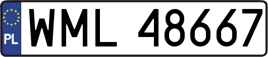 WML48667