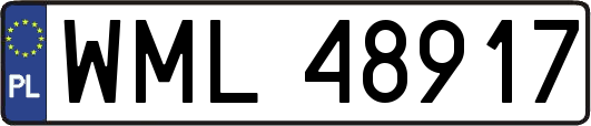 WML48917