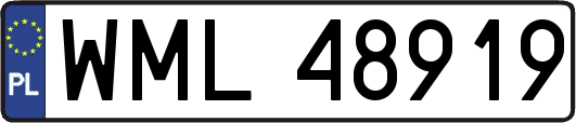 WML48919