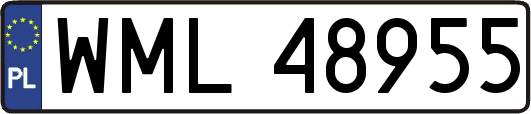 WML48955