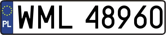 WML48960