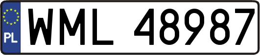 WML48987