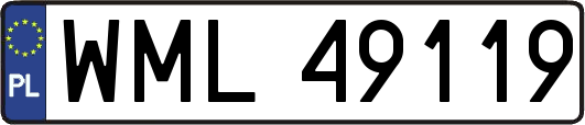 WML49119