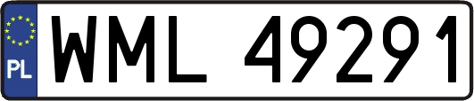 WML49291