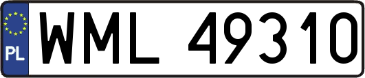 WML49310