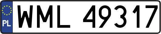 WML49317
