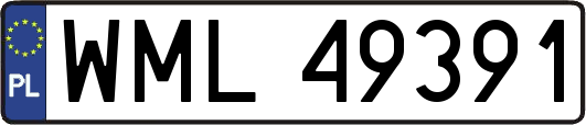 WML49391