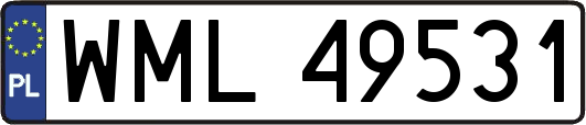 WML49531