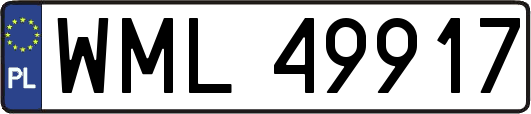 WML49917