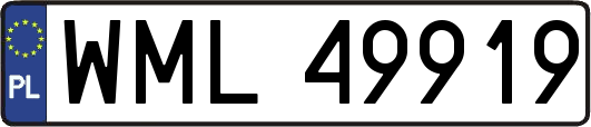 WML49919