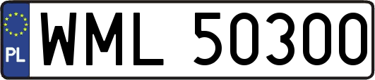 WML50300