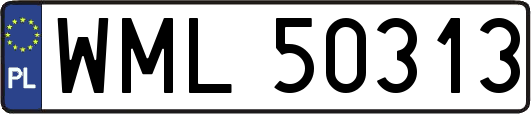 WML50313
