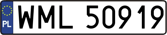 WML50919