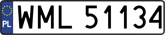 WML51134