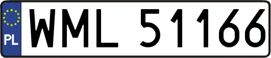 WML51166