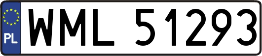 WML51293