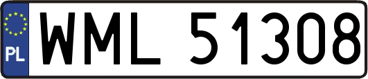 WML51308
