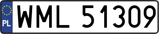 WML51309