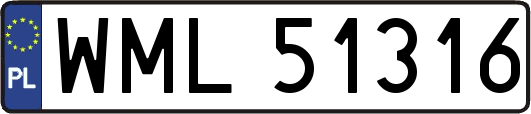 WML51316
