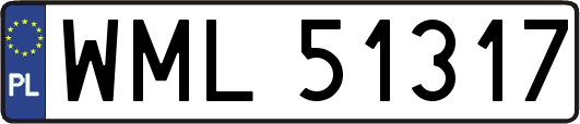 WML51317